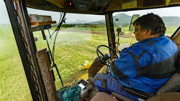 V květnu vrcholí sklizeň a zpracování špenátu na mražení. Společnost Agrimex, která je od loňského roku součástí skupiny Hamé, vyrobí ve svém závodu v Panenských Břežanech u Prahy 50 tun mraženého špenátu denně.