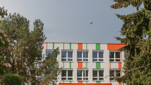 Výuku na Základní škole Zborovská na Pražském sídlišti v Táboře ruší křik hnízdících havranů.