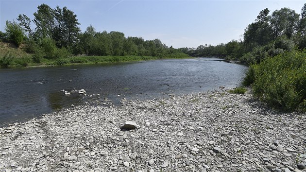 V řece Bečvě na Moravě je uprostřed jara málo vody, jelikož v zimě bylo málo sněhu a srážkové úhrny zaostávaly za průměrem.