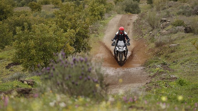 Test motorky BMW F 850 GS