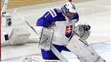 Slovenský brankář Marek Čiliak na mistrovství světa v Dánsku