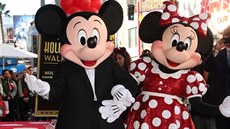 Mickey Mouse i jeho milá Minnie mají své hvzdy na chodníku slávy v Hollywoodu.