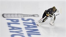 Branká Vegas Marc-Andre Fleury ped tetím  finále Západní konference NHL.