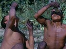 Kmeny severozápadní Amazonie sázejí na pálivou moc. Kocovinu vyhánějí z těla...