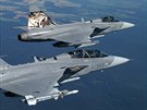 Motiv �eského gripenu pro cvi�ení tyg�ích letek v roce 2009 a zbarvení letounu...