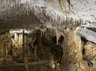 Bílá hala je jednou z mnoha síní v Postojnských jeskyních.