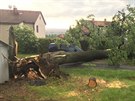 Pi tvrtení bouce spadl strom v obci Nedabyle na Budjovicku a lehce...