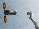 Kosmický náklaák Cygnus u stanice ISS, vpravo je robotické rameno Canadarm2.