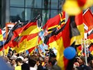 V Berlín se seli píznivci protiimigraní opoziní strany Alternativa pro...