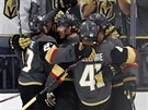 Hokejisté Vegas oslavují gól v první finále NHL s Washingtonem.