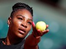 Americká tenistka Serena Williamsová servíruje v utkání proti Kristýn Plíkové.