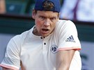 eský tenista Tomá Berdych hraje bekhendem na Roland Garros.