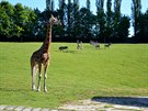 irafy znovu vyrazily na safari v Zoo ve Dvoe Králové.