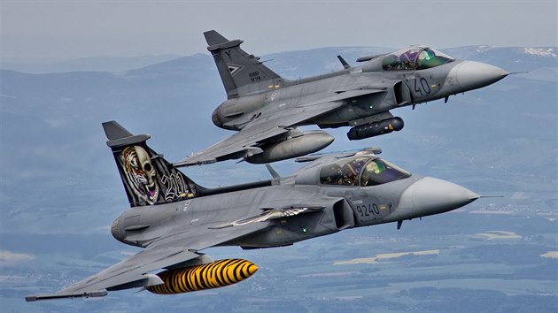 Nap�l tygr a nap�l lidsk� lebka. Motiv na gripenu pro Tiger Meet v roce 2014