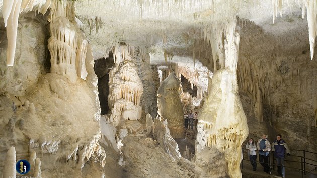 „Bílá hala“ je jednou z mnoha síní v Postojnských jeskyních.