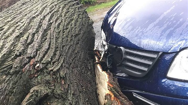 Pi tvrten bouce spadl strom v obci Nedabyle na Budjovicku a lehce pokodil auto.