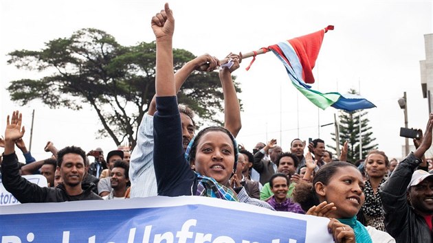 Stovky Eritrejc protestuj ped sdlem Africk unie v ervnu 2015. Sna se upozornit na ast poruovn lidskch prv.