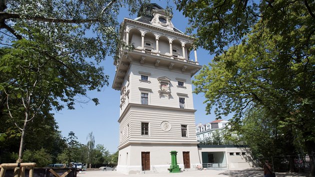 Z brlov zelen zmnila vodrna barvu na pskovcov svtlou. (22.5.2018)