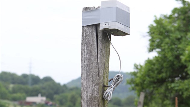 Vinice zen pes pota v arelu frantiknskho kltera v Kadani.