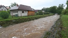 Rozvodnný Jalový potok v Zajeov na Berounsku (25. kvtna 2018)