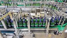 Karlovarská Becherovka dokončila výrobu 40 tisíc lahví košer likéru. Zadní...