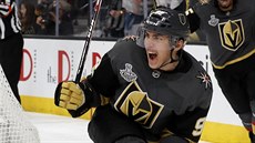 Tomá Nosek z Vegas slaví svj gól ve finále Stanley Cupu.