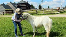 Alena Duková provozuje Rýchorskou boudu v Krkonoích.