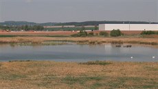 Rezervace Nový rybník u Líní na Plzesku.