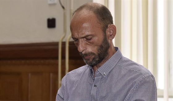 Martin Vlek byl u Krajského soudu v Brn odsouzen na osm let za to, e v...