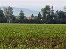 Pohled na pole u Hn�vot�na na Olomoucku pokryt�ch ornic� s nejvy��� bonitou,...