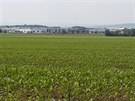 Pohled na pole u Hn�vot�na na Olomoucku pokryt�ch ornic� s nejvy��� bonitou,...