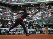 Serena Williamsov se natahuje po mku v utkn s Australankou Ashleigh...