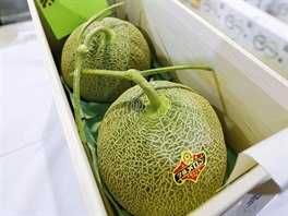 Japonský Yubari King pat�í mezi nejdra��í druhy ovoce na sv�t� a dokonale...