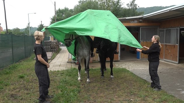 Vycvien kon nepekvap, ani kdy napklad ze stechy opravovan budovy ulet plachta. (30.5.2018)