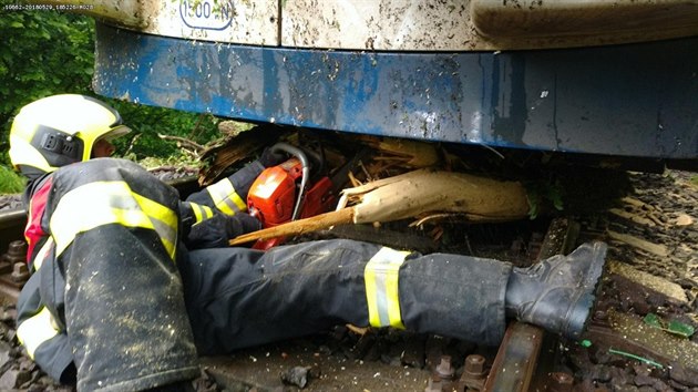 Osobn vlak najel v ter v podveer na eleznin trati mezi Holovem a Hradcem na Domalicku do stromu. Nikdo z cestujcch se nezranil.