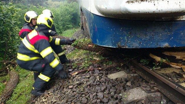 Osobní vlak najel v úterý v podvečer na železniční trati mezi Holýšovem a Hradcem na Domažlicku do stromu. Nikdo z cestujících se nezranil.