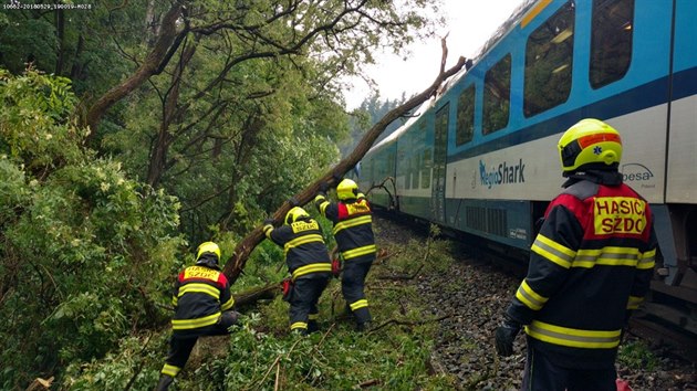 Osobní vlak najel v úterý v podvečer na železniční trati mezi Holýšovem a Hradcem na Domažlicku do stromu. Nikdo z cestujících se nezranil.