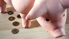 Ilustra�ní snímek