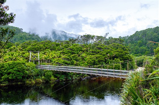 vodn st Hephe Tracku vede hlubok pralesem s kapradinami a palmami.
