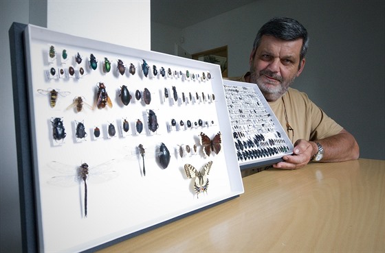 Podle entomologa Pavla Voničky už z luk mizí nejen motýli, ale i hmyzí druhy,...