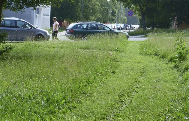 Jihlava Faces Uproar Over Poor Green Space Maintenance, Issues 162 Complaints