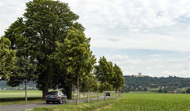 Pohled na poutní cestu lemovanou historickou alejí, která vede z Olomouce k...