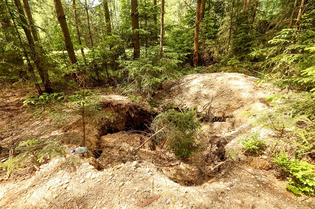 Nelegální kopái u Byova hledají vltavíny. Zstávají po nich hluboké krátery...