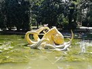 Jezrko v olomouckm parku obsadila lut chobotnice