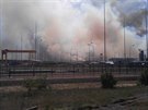 Kolem odstavené jaderné elektrárny Černobyl na Ukrajině hořel les. (5. června...