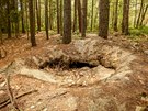 Nelegální kopái u Byova hledají vltavíny. Zstávají po nich hluboké krátery...