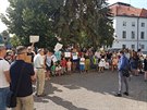 V eských Budjovicích se demonstranti seli okolo páté hodiny u Kulturního...