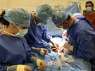 Operace gorily Kamby probhla v nedli 3. ervna 2018.