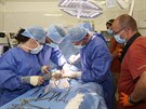 Nároná gynekologická operace gorily Kamby probhla v nedli bez komplikací....