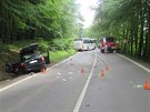 Nehoda se stala na lesním úseku cesty u Pozlovic poblí Luhaovic.